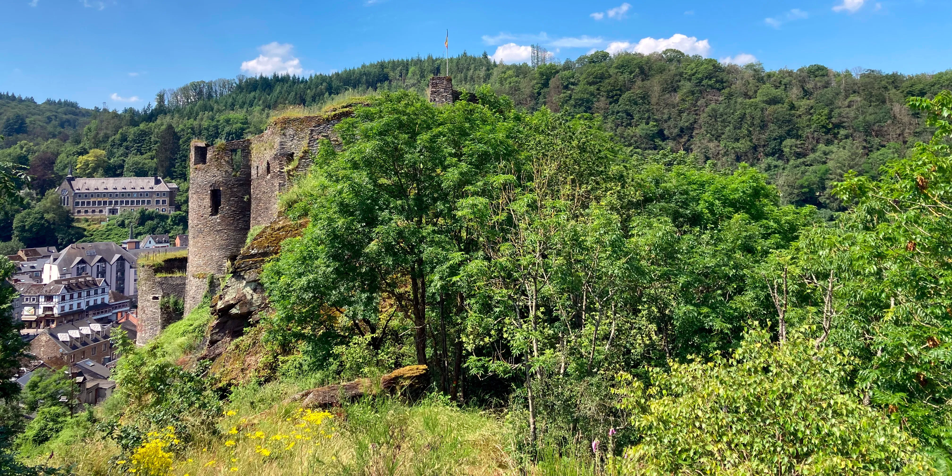 Vue du château féodal de La Roche-en-Ardenne Ⓒ 2024 CC BY-NC 4.0 Gilles Bailleux