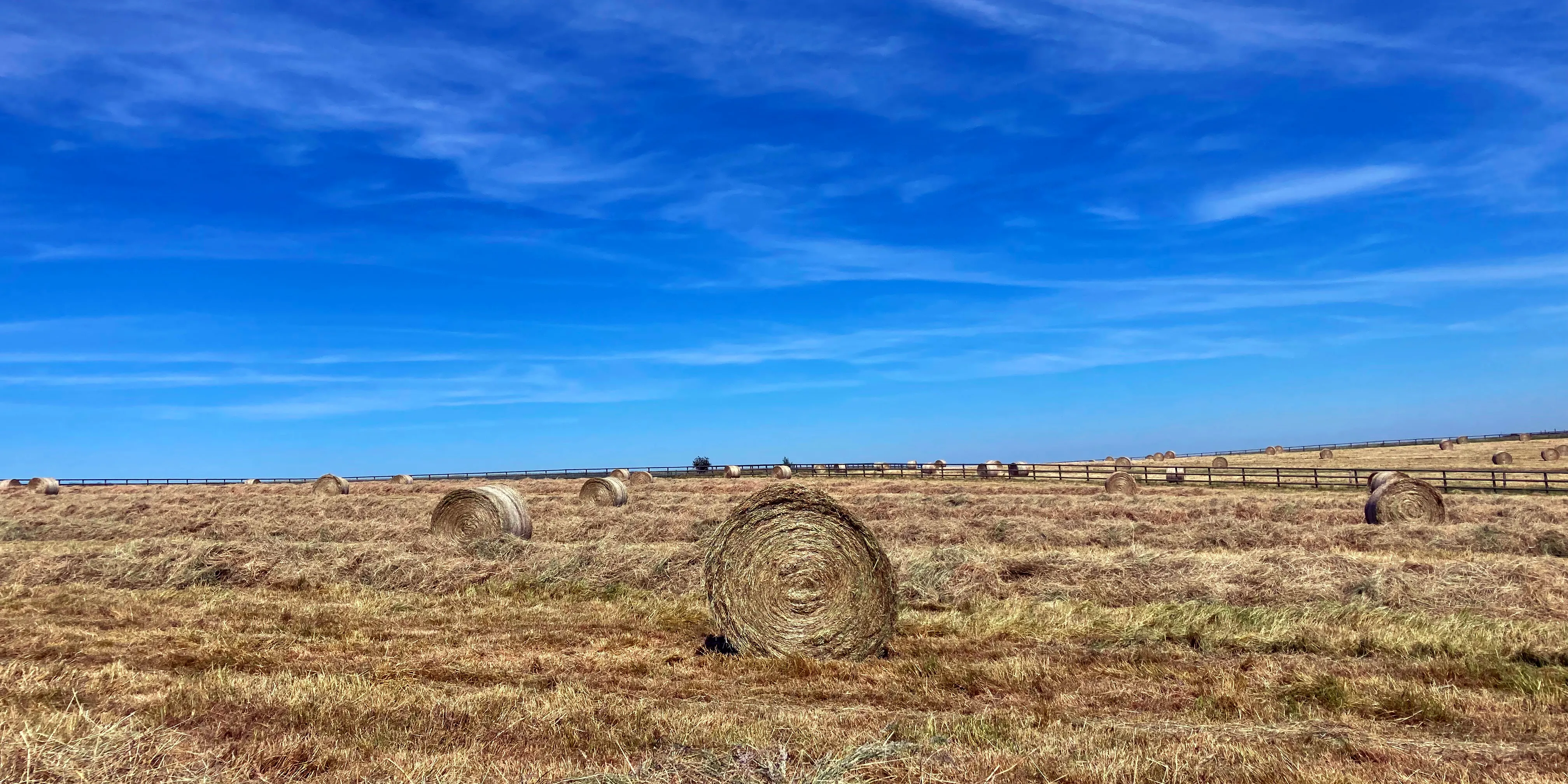 Fenaison à Nagimont Ⓒ 2024 CC BY-NC 4.0 Gilles Bailleux